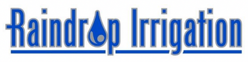 Raindrop