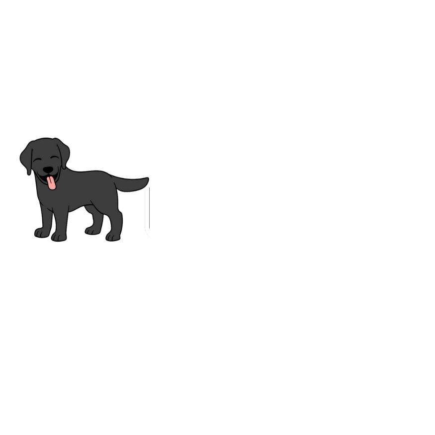 Websters LLC